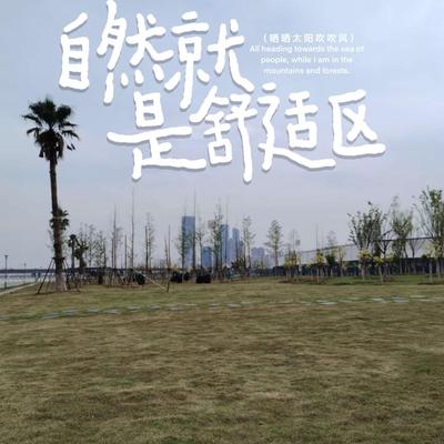 江上之云：南昌凤凰湾。第一次停下来，用脚