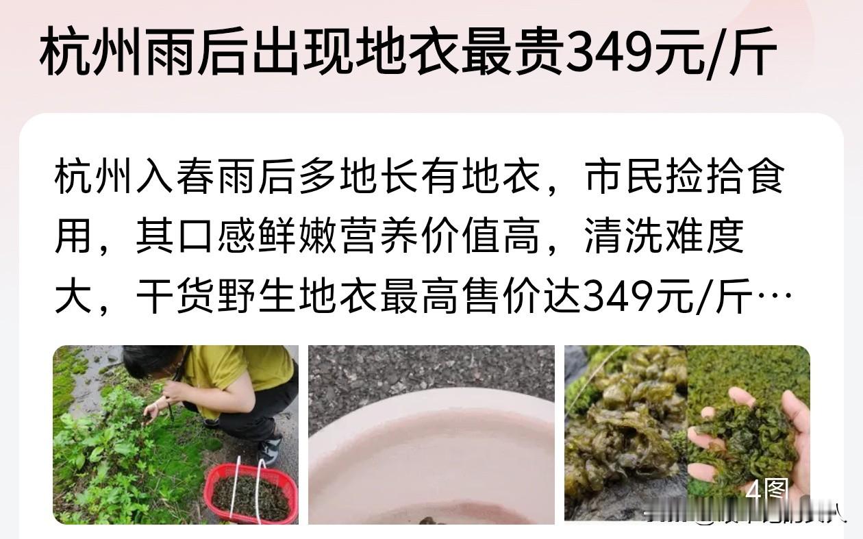 呵呵！[捂脸]这个我有发言权，我懂，不知道你们吃过地衣没有，这个玩意儿...