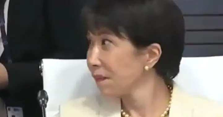 跳梁小丑的“有事论”：满世界碰瓷，到头来只有她自己“有事”