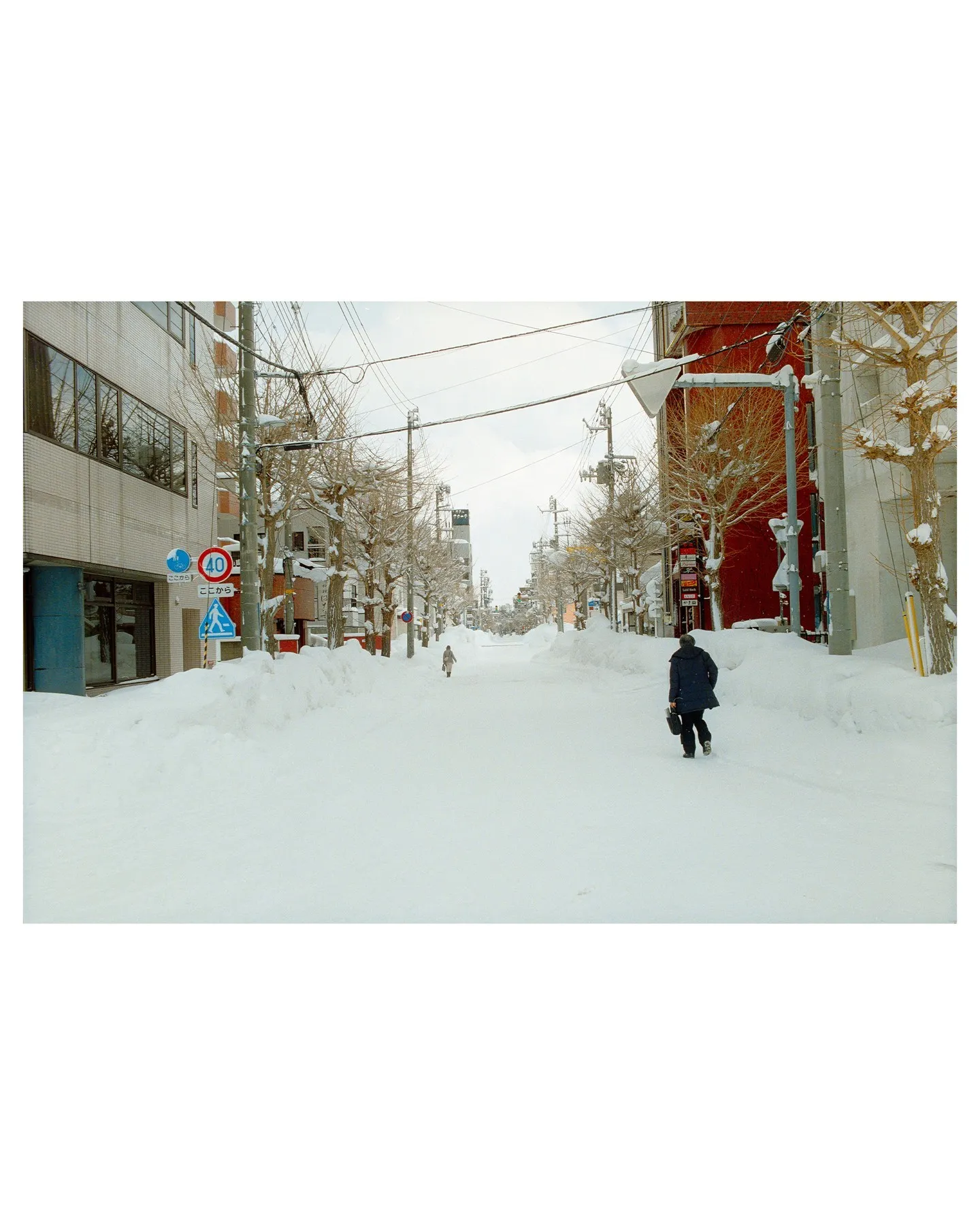 冬雪