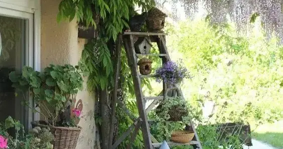 我在江南乡下，建了一个小院，治愈了半生疲惫