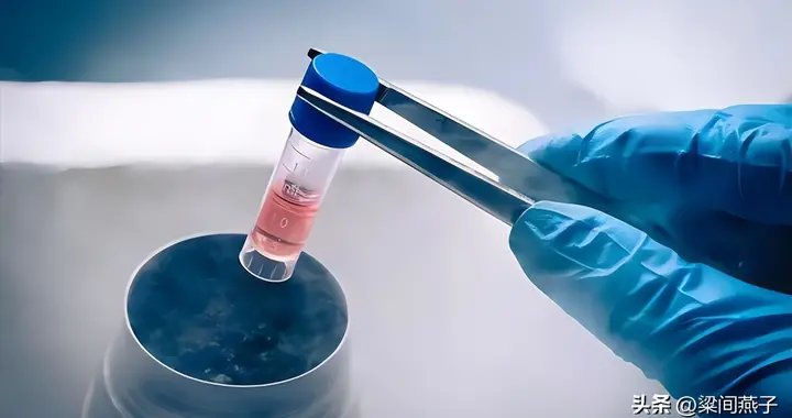 美科学家最新展望：干细胞技术持续突破，2030年人类或迎青春时代