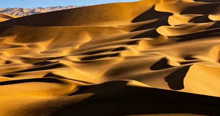 黄黑主页被乒乓刷屏