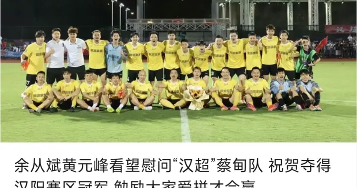 黄陂蔡甸和江夏，为武汉市郊区争了光，新洲新区东西湖还需努力