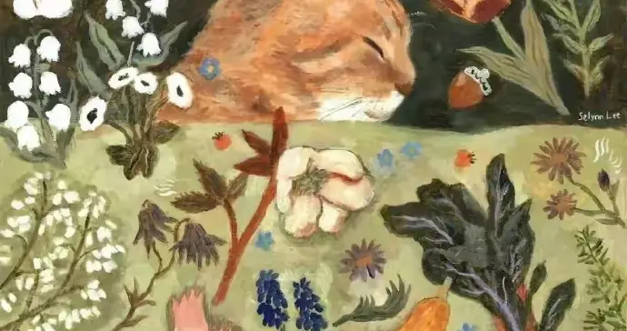 破新高！羊毛继续～10月27日金25转债上市