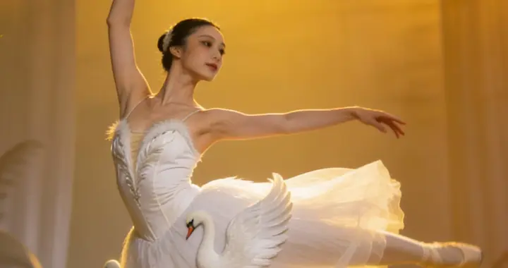 秋色之梦，天鹅的舞曲