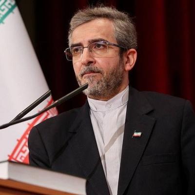 蒋晓峰Terry：【伊朗代表团里的专家型