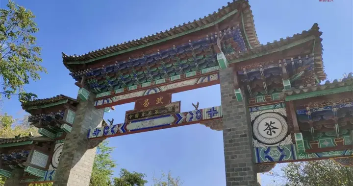 易武茶真的难喝懂吗？