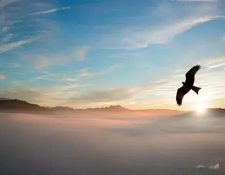 怀念的不是故乡，而是儿时的自己