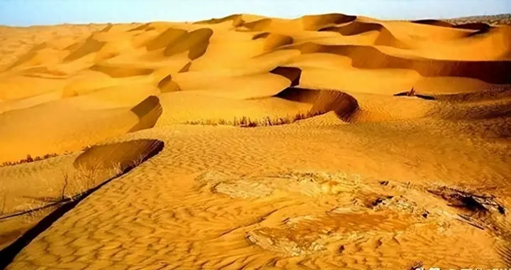 西方媒体：中国不可怕，可怕的是中国已成首个能消灭沙漠的国家