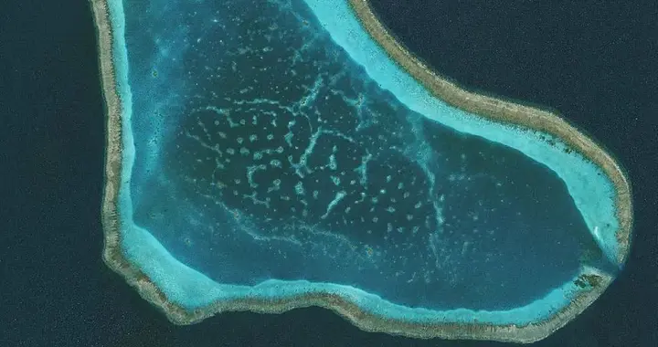 为什么说新建黄岩岛国家级自然保护区，是一招生态破局的妙棋？