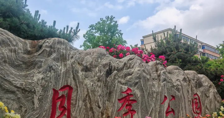 打卡郑州月季公园|赴一场月季的约，风里都是花香～