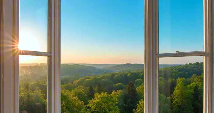 学会在平凡日子里，收集那些属于你的微小光芒