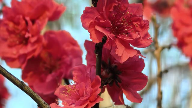 蒲根蒲草：人总有一天会明白，平平淡淡才是