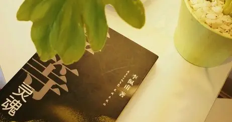 南朝第一才子沈约：一个文人的传奇，一部时代的缩影