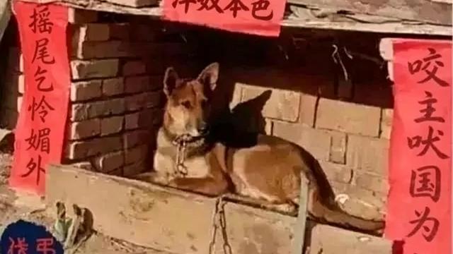 海阔心无届：《观羊胎盘边角料评杂咏》 键