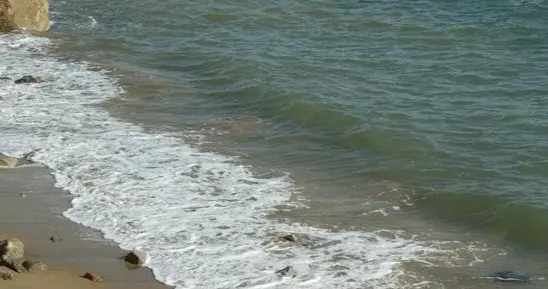 时间偷走了她的“道理”，却留下了本能