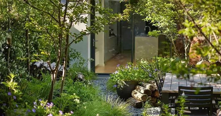 有个院子，把森林搬回家！