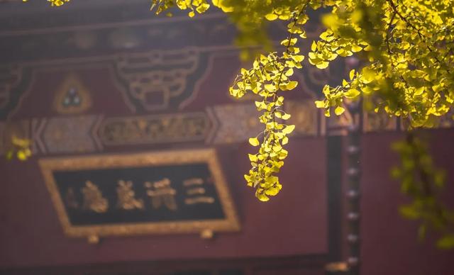 什么是“无念”？很多人可能都理解错了！