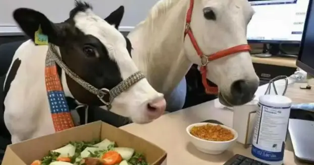 为什么底层牛马越来越少了？新一代劳动者为何不再接受传统模式？