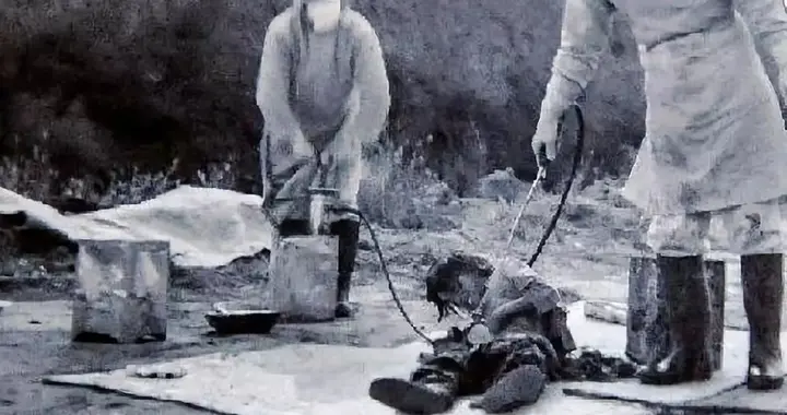 731部队原鼠疫班成员揭露细菌武器研制与人体实验细节