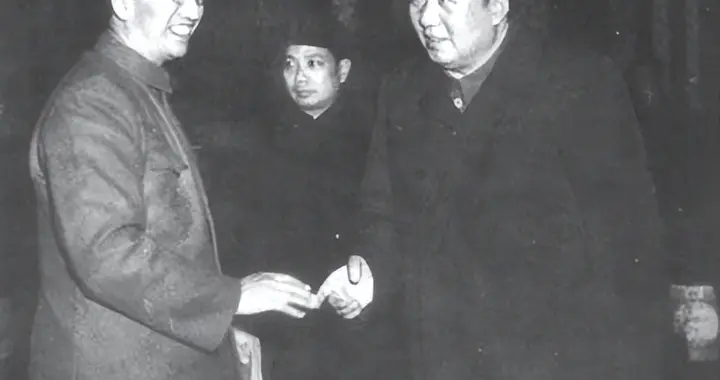 45年毛主席去医院看望徐向前，闲聊中询问：打国民党，你怎么看？