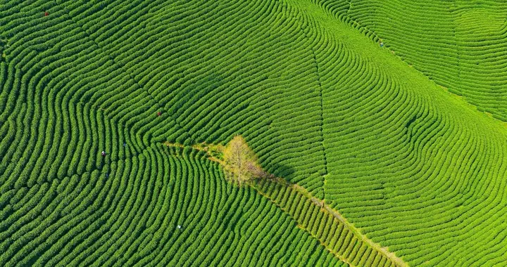 三月再见，四月你好：愿你春风得意，不负人间四月天