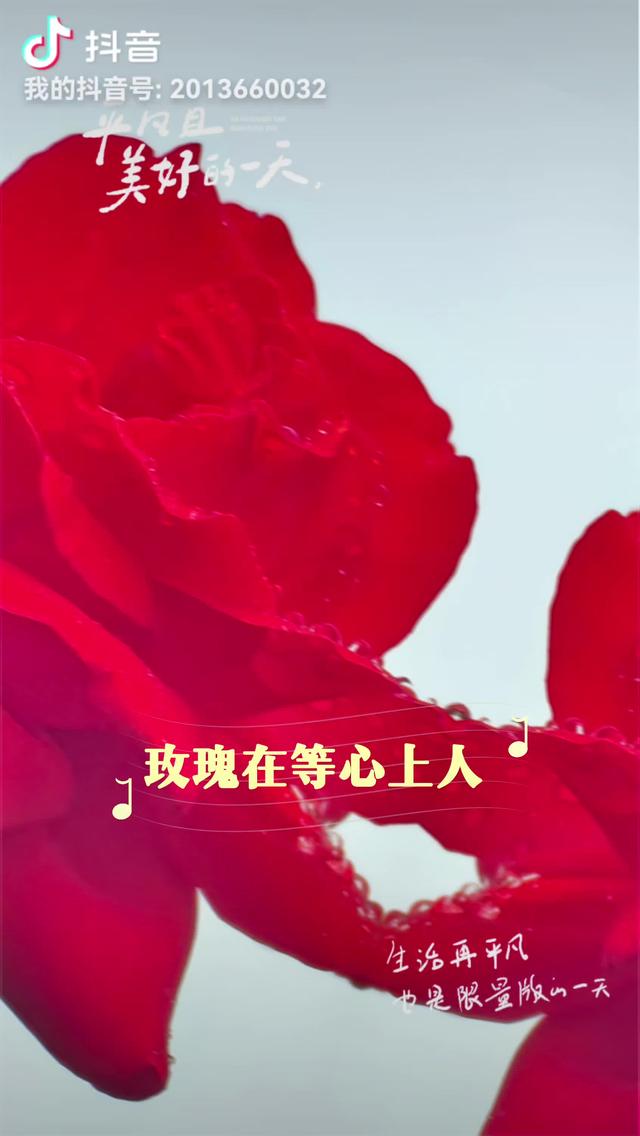 现代诗（原创）：《母亲》