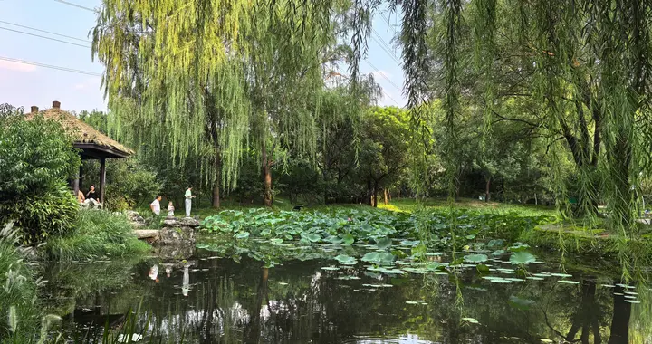 国企+矿企，白银有色信披违规被立案，13万户投资者懵了！