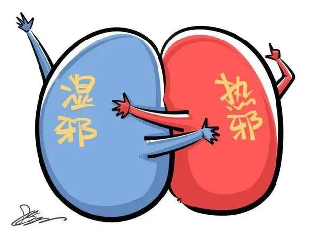 湿热重，二妙丸、四妙丸没用？教你绝招，先健脾再祛湿热 效如桴鼓