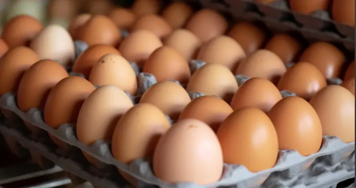马上停止吃这“3种”鸡蛋，警惕会催化疾病？专家为你揭开真相