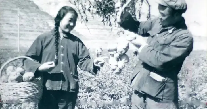 一颗洋芋蛋，半部甘肃史