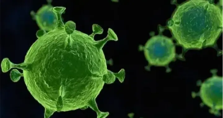 科学防治流感：关注耐药现象，重视中西医协同