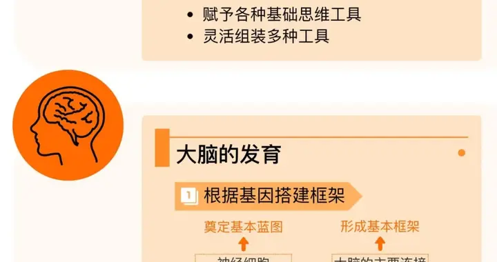 《大脑地图》为什么说大脑是一本丰富的地图册？