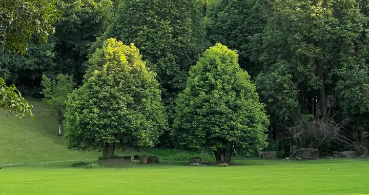 成都0.5h车程，邂逅阿勒泰平替，草坪山坡、湖畔森林…一站吃喝玩