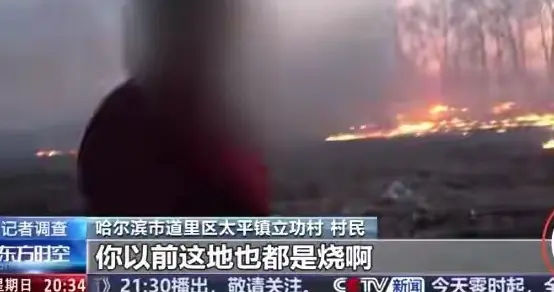 央视聚焦报道谈秸秆焚烧！多地存在乱烧，但背后的原因也有无奈！