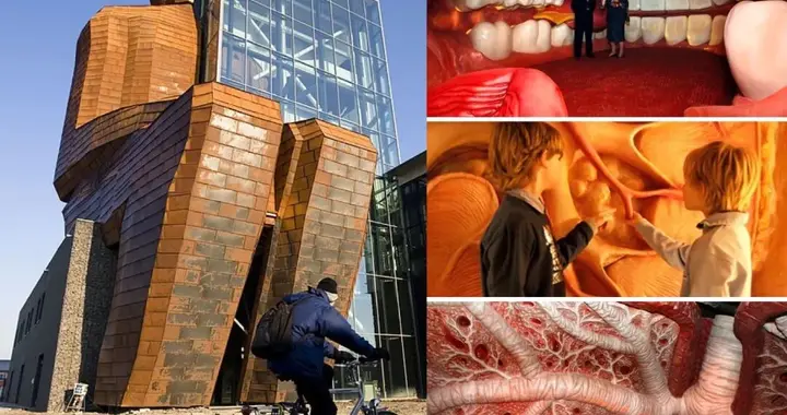 英语高级词汇：corporeal