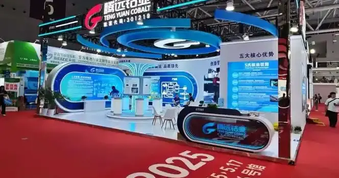 腾远钴业凭什么硬气？资源仓+技术垄断+财务满分，金属赛道真龙头