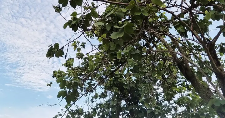 炎热夏季注意防暑降温