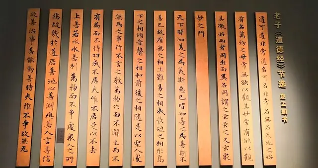 《道德经》：真正的成长，常常看起来像在后退