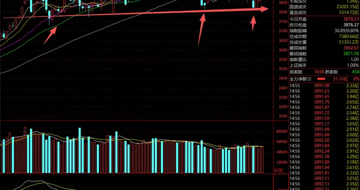周复盘：15-19日的盘面情况