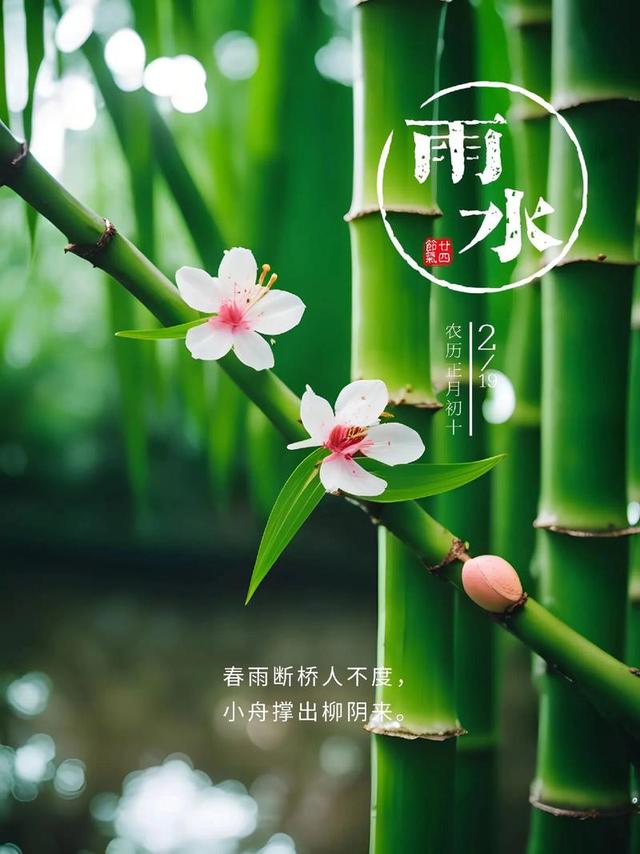 雨水节气：2首描写雨水的古诗词，一帘新雨后人间又逢春！