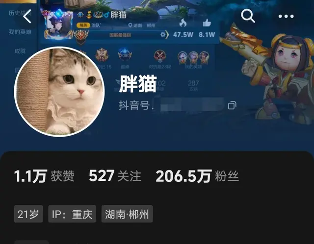 胖猫跳江女友发声反转？聊天记录戳破伪装与欺骗，30余万恐难要回