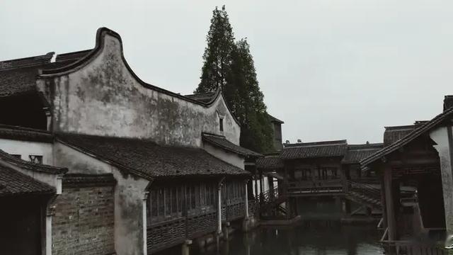 承明情感/夜话：今年春天最想实现的心愿