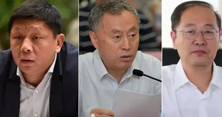 院士名单接连删名，背后到底发生了什么？