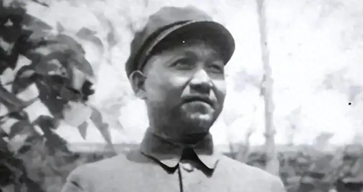 54年陈光自焚，妻儿孤苦无依，罗荣桓叮嘱林月琴帮扶能否做到