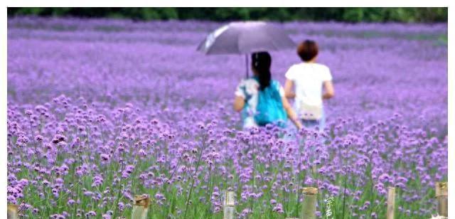 中年夫妻生活的难题：婆家人和钱，为何成为无法逾越的禁区？