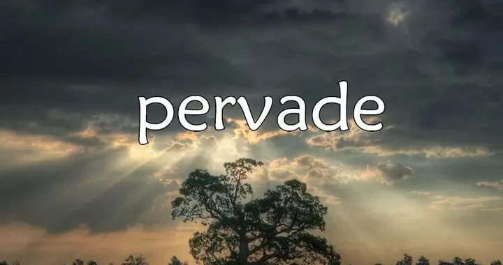 每日单词：pervade