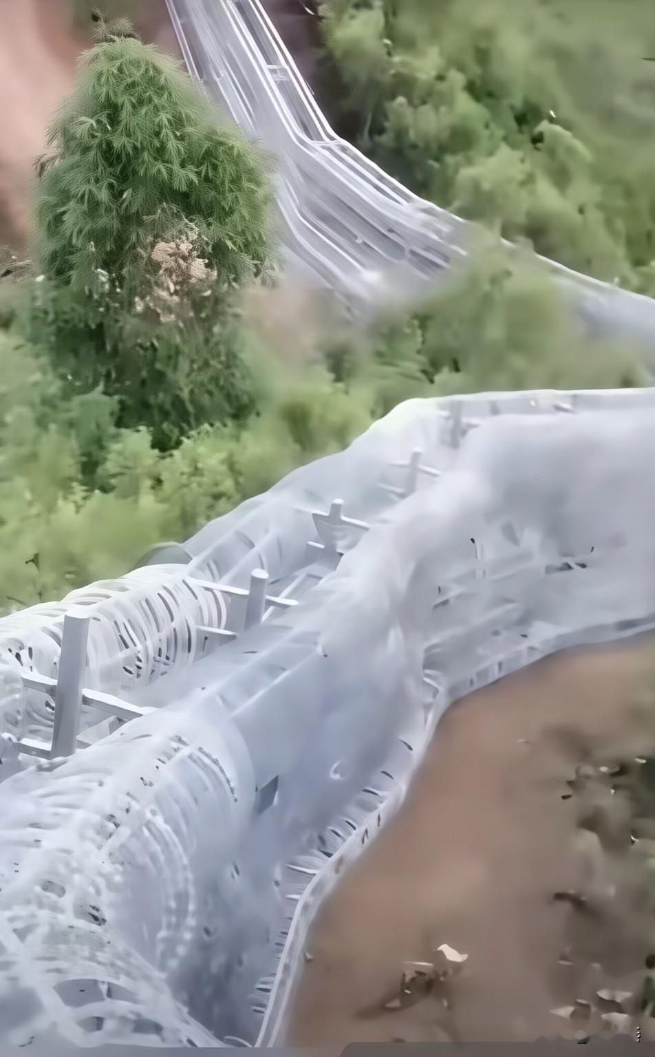 环泰山的铁丝网长龙建成，美其名曰，是为了防火防灾防野猪。  我横看竖看...