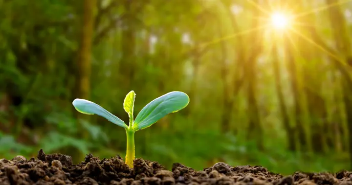 企业春耕翻土：这3类人正在被悄悄“归位”，有你吗？